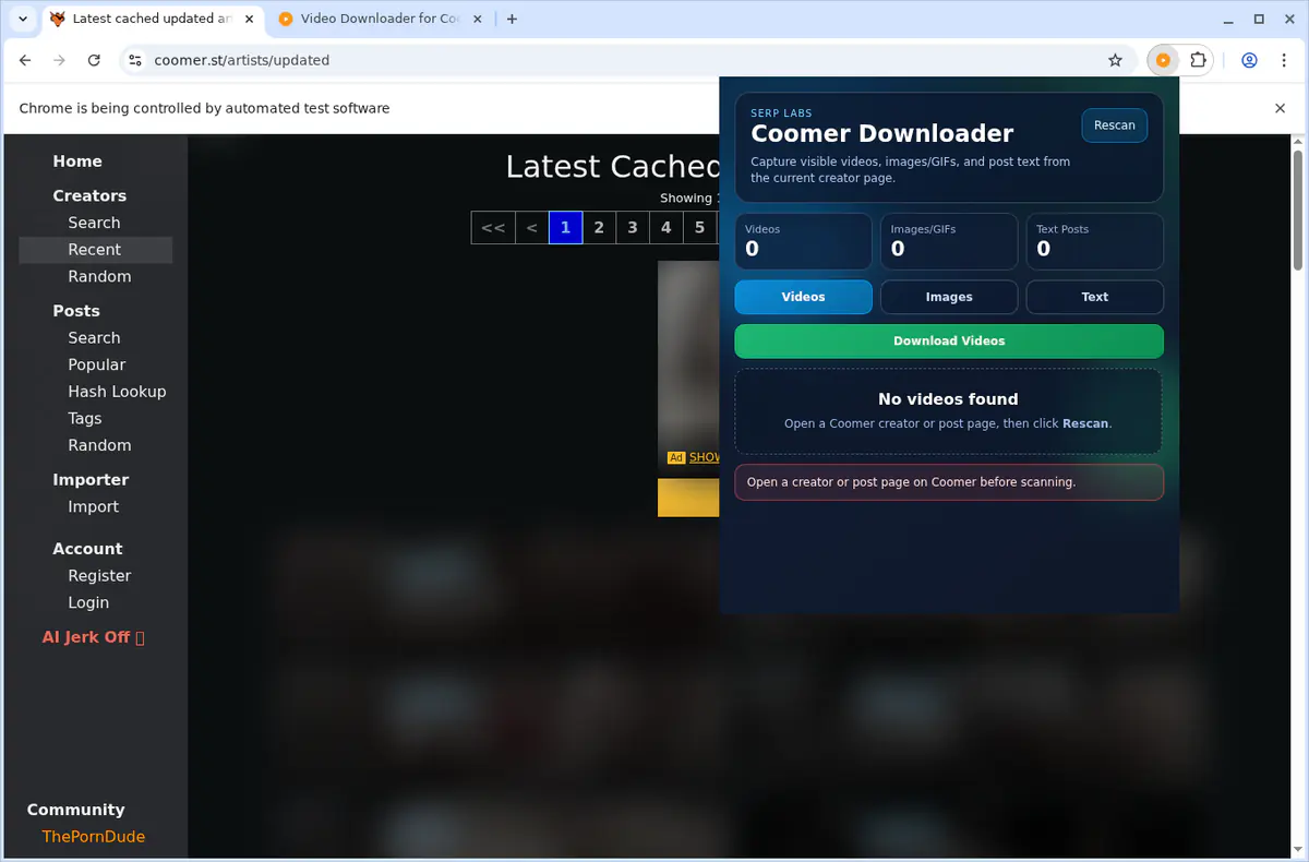Coomer Video Downloader browser extension screenshot 4
